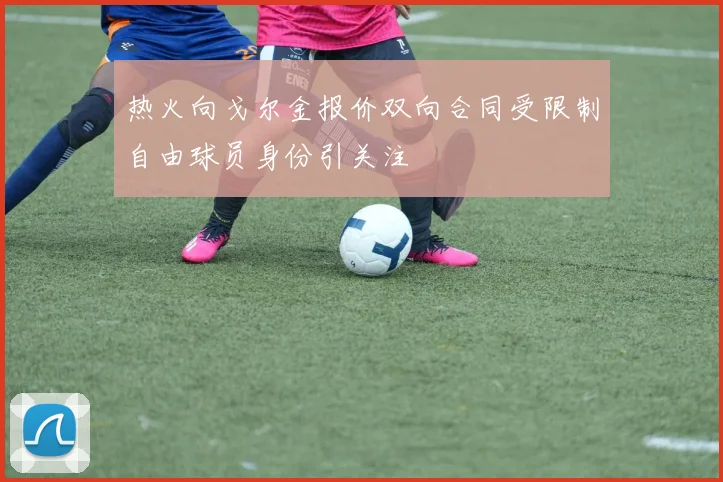热火向戈尔金报价双向合同受限制自由球员身份引关注